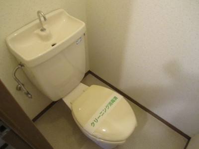 Toilet. Toilet