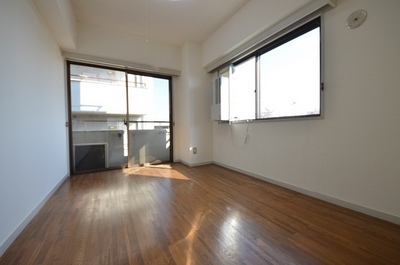 Living and room. Bright two-plane daylight