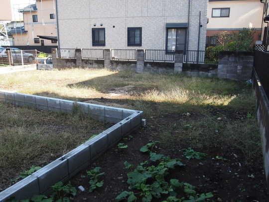 Local land photo. Local Photos