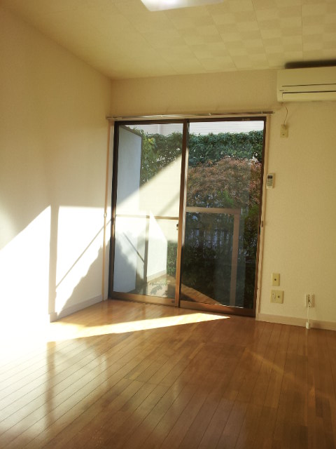 Living and room. South-facing sunny