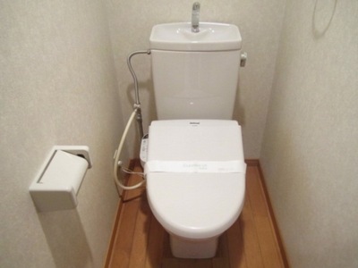 Toilet. Toilet is clean