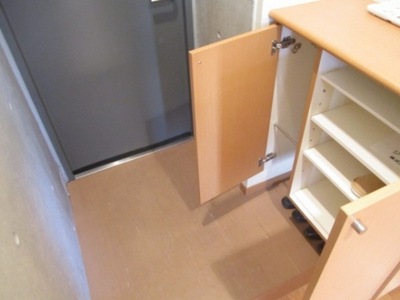 Entrance. Entrance and a shoe box