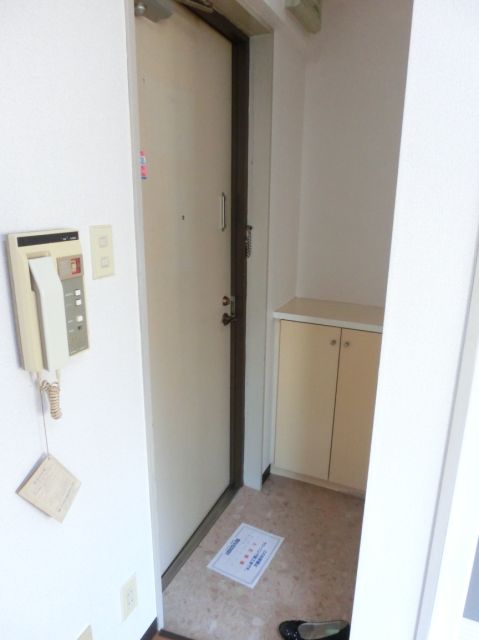 Entrance. There is also a shoe box in the foyer