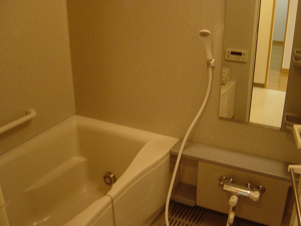 Bathroom. Indoor (11 May 2013) Shooting