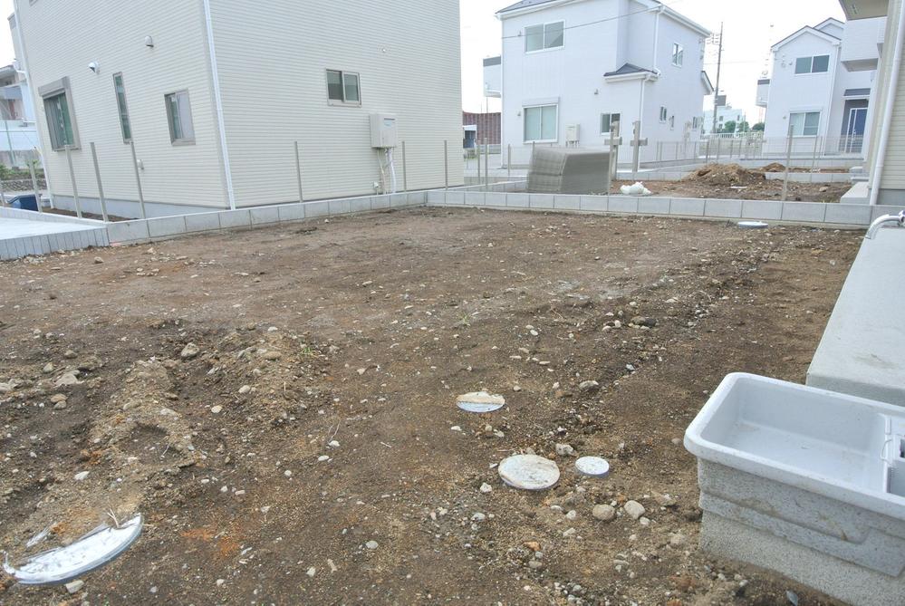 Garden. Local Photos