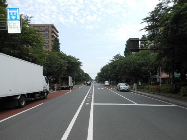 Other Environmental Photo. 990m until street University