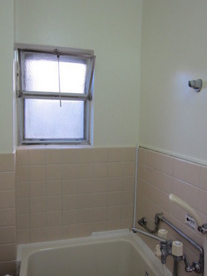 Washroom. Yes window