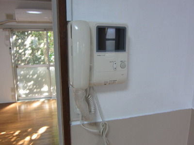 Security. The confirmation by the TV monitor Hong