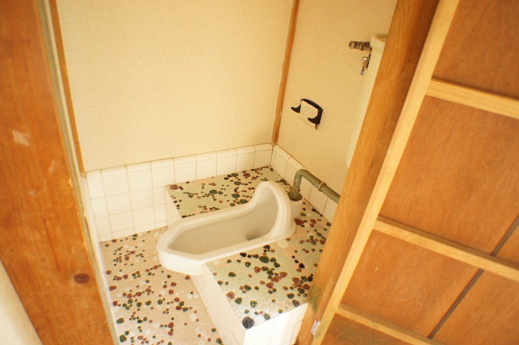 Other. It is your toilet of old-fashioned Japanese-style