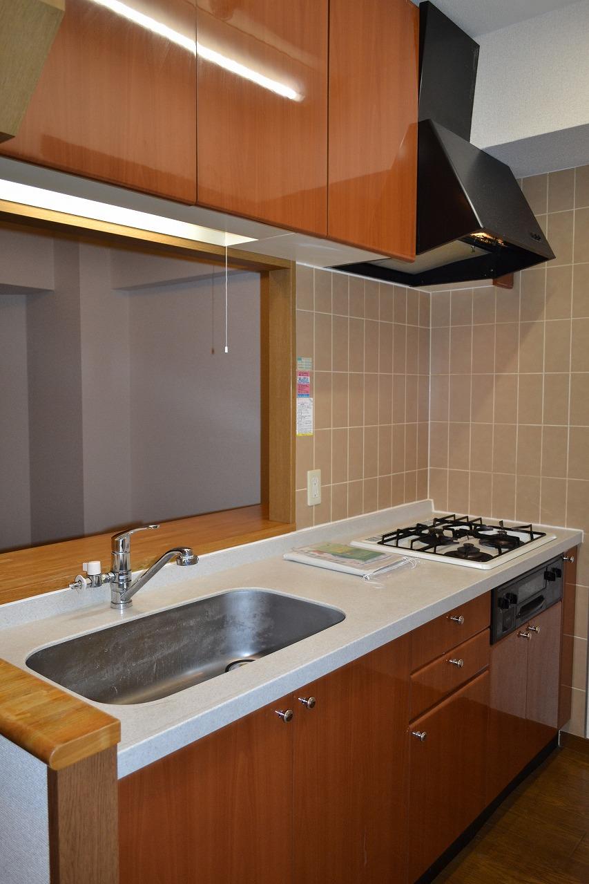 Kitchen. Indoor (11 May 2013) Shooting
