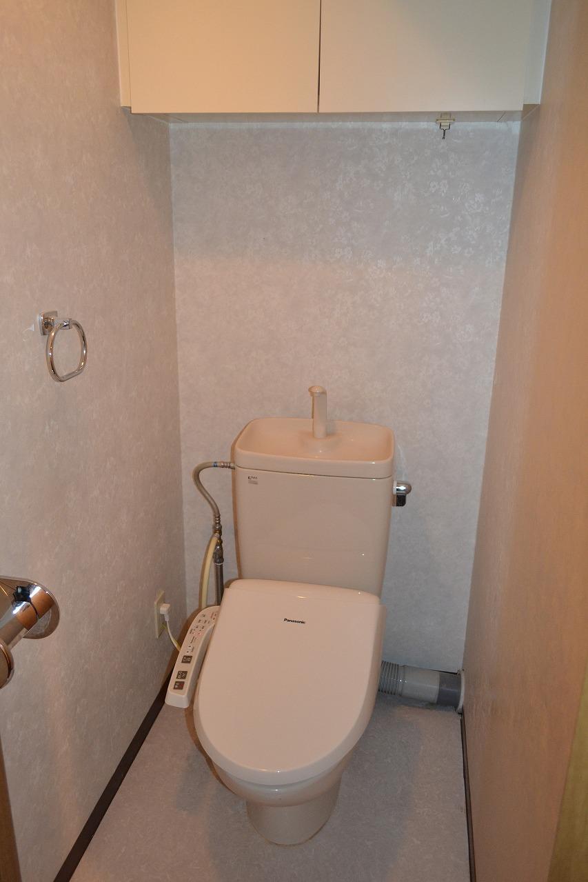Toilet. Indoor (11 May 2013) Shooting