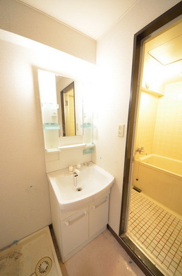 Washroom. Beautiful independent wash basin