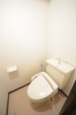 Toilet. Bidet with toilet