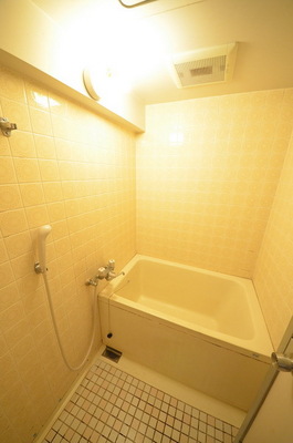 Bath. Space to heal tired