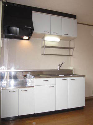 Kitchen. Gas stove is the purchase type.