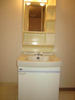 Washroom. Independent wash basin