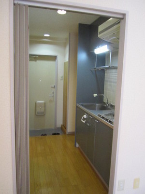 Entrance. Entrance and kitchen space