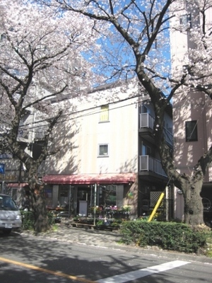 Building appearance. It is full of green location. It is also useful to your shopping.