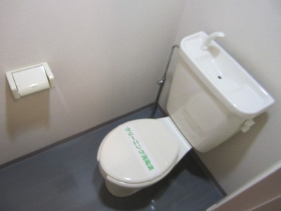 Toilet. Toilet