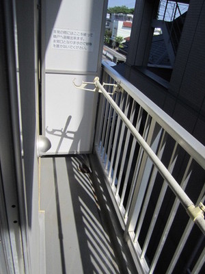 Balcony. This room, No building in front balcony