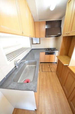 Kitchen. L-shaped kitchen