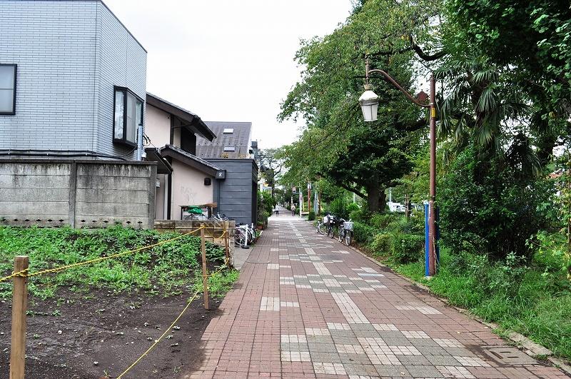 Local photos, including front road