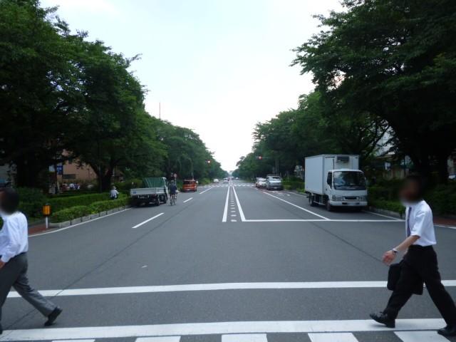 Other. Street University