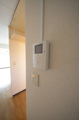 Security. ☆ TV monitor phone that visitors at a glance ☆