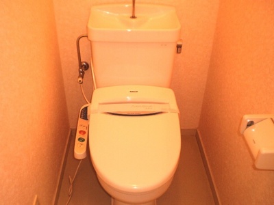 Toilet. Shower toilet
