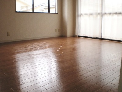 Living and room. Western-style 5.5 Pledge