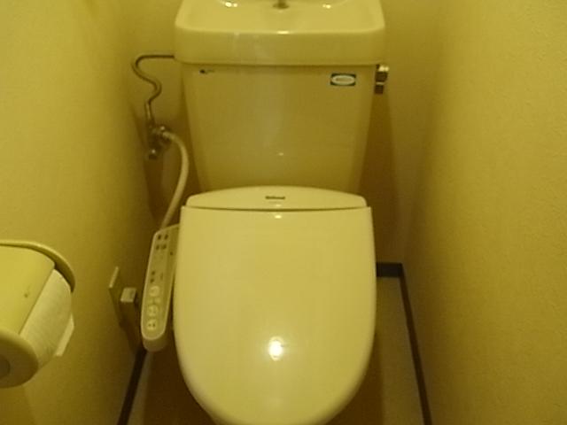 Toilet. Indoor (10 May 2013) Shooting