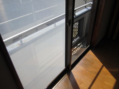 View. Bright south-facing