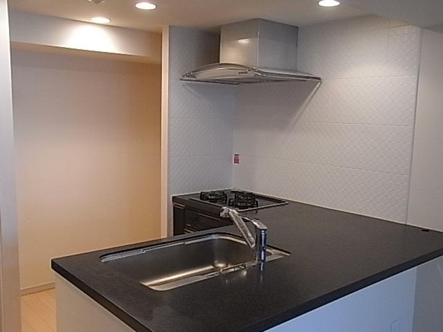 Kitchen. Indoor (11 May 2013) Shooting