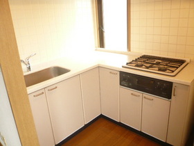 Kitchen. System kitchen