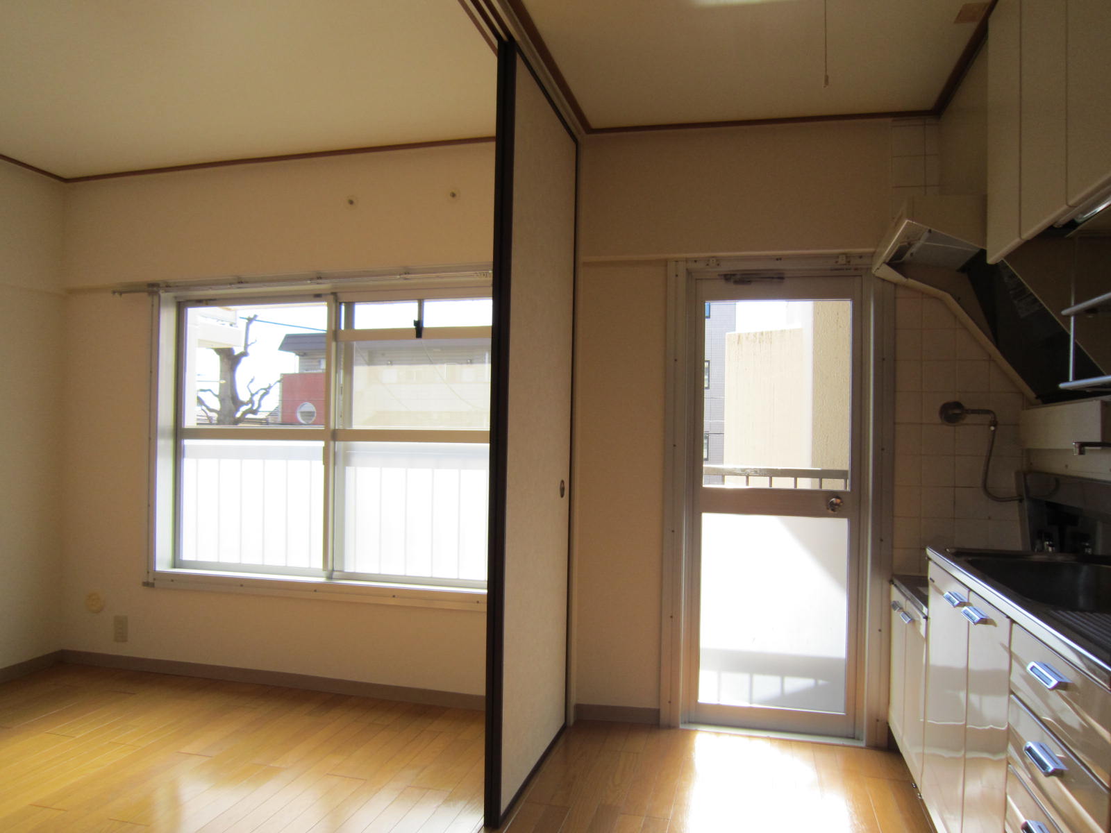 Living and room. Bright DK in the south