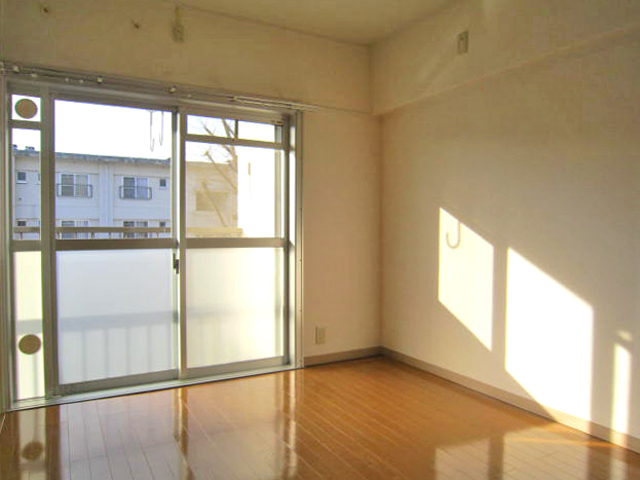 Living and room. Western-style DK next