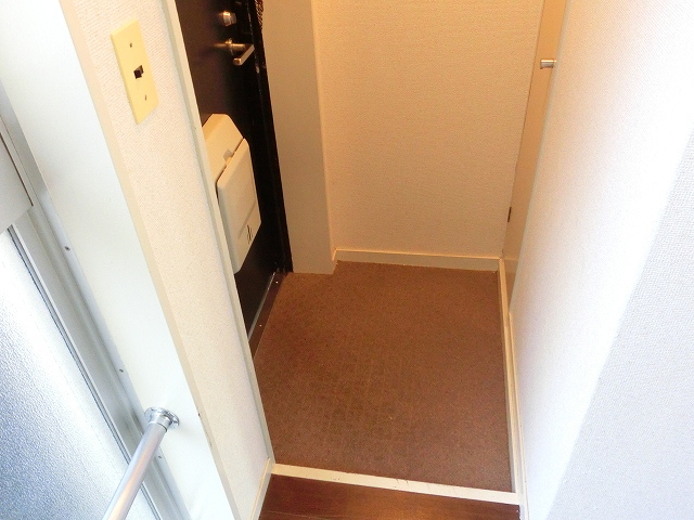 Entrance. There is also perfectly cupboard.