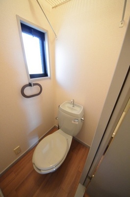 Toilet. Clean toilet