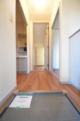 Entrance. The view from the front door