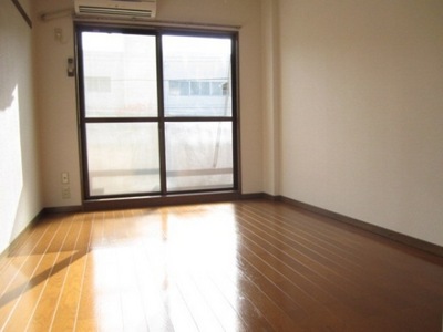 Living and room. Sunny