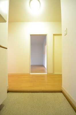 Entrance. The view from the front door