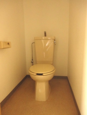 Toilet. Separate toilet