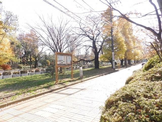 Other local