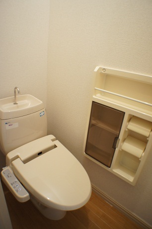 Toilet. Warm water washing toilet seat