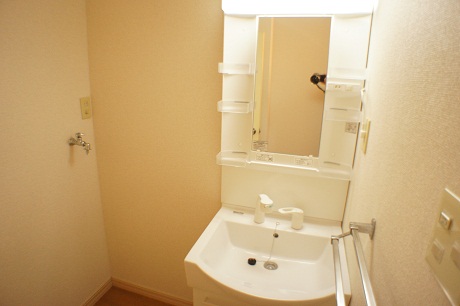Washroom. Shampoo dresser