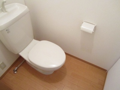 Toilet. Toilet is an important space!