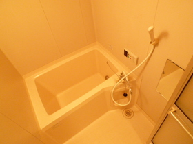 Bath. Add-fired function with bus