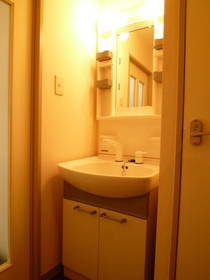 Washroom. Shampoo dresser