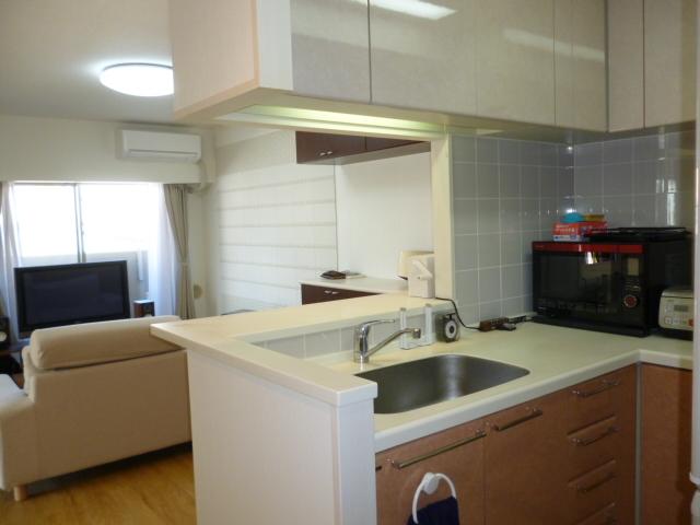 Kitchen. Indoor (12 May 2013) Shooting
