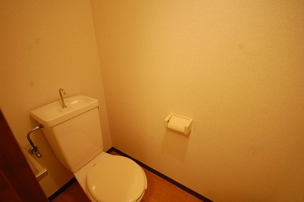 Toilet. Indoor shooting